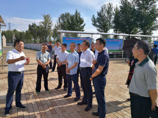 大同市人大主任到陽高新村調研1 大同市人大主任到陽高新村調研1